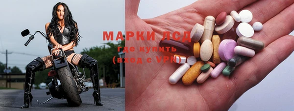 спайс Баксан