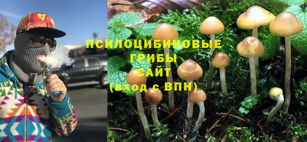 2c-b Балабаново