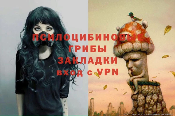 2c-b Балабаново