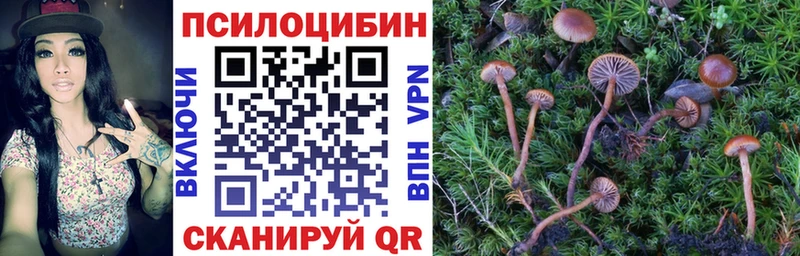 Галлюциногенные грибы Magic Shrooms  Купить где  Урюпинск 